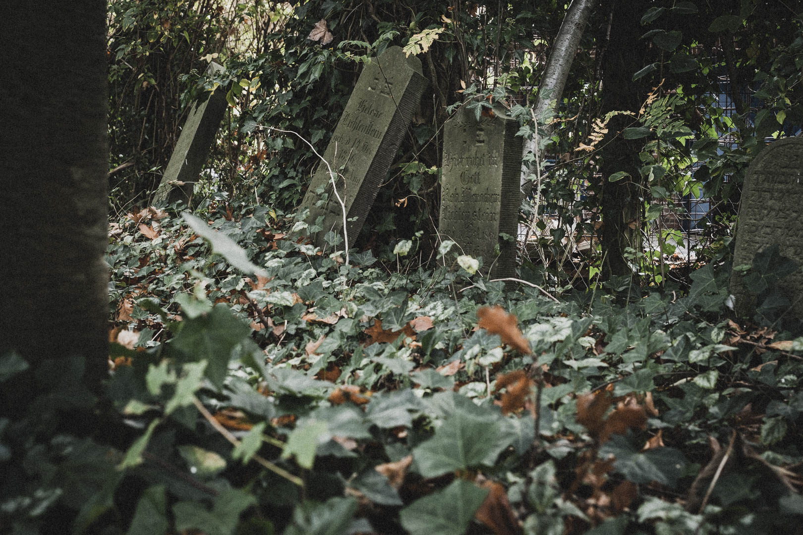 Jever, Jüdischer Friedhof